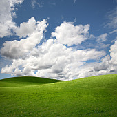 Enviroment